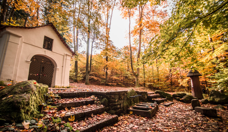 Tip na výlet: Zastavení na křemešnické stezce u Křemešníku nás poučí o léčivých studánkách a fungování lesa
