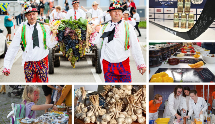 Kam o víkendu na jihu Moravy? Za vínem, pivem, vědou nebo technikou