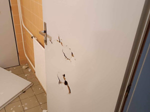 Vyrvané dveře, pisoáry, umyvadla. Agresivní pacient zdemoloval pánské záchody v pelhřimovské nemocnici