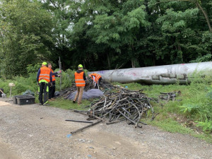 Podívejte se, jaké materiály převládaly na zlikvidované černé skládce