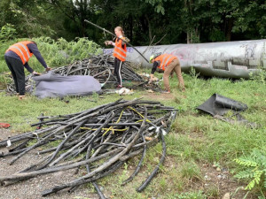 Podívejte se, jaké materiály převládaly na zlikvidované černé skládce