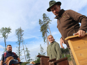 VIDEO: Den za obnovu lesa u Třeště zaujal stovky lidí. Viděly, jak pracuje harvestor i pětiletý tažný kůň
