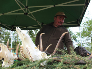 VIDEO: Den za obnovu lesa u Třeště zaujal stovky lidí. Viděly, jak pracuje harvestor i pětiletý tažný kůň