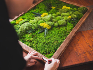 Mechy na své obrazy objednává až od polárního kruhu. Jeden od Kristýny Bízek dostal i prezident