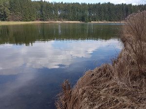 Jihlava začne opravovat druhý z pěti Pístovských rybníků. Bude to stát 18,5 milionu korun