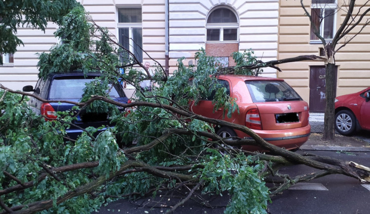 Meteorologové varují před silným větrem. I na Vysočině přinese chladnější počasí a přízemní mrazíky