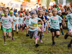 Lesy svolávají k oslavě jubilea. Registrace na 10. ročník Běhej lesy jsou spuštěny