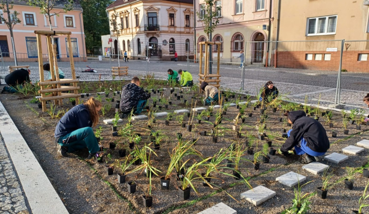 Oprava náměstí v Novém Městě spěje k závěru. Rozsvítí ho tisíce květů