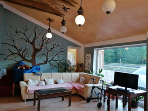 Alzheimer Home Jihlava pečujeme o nemocné s Alzheimerovou chorobou