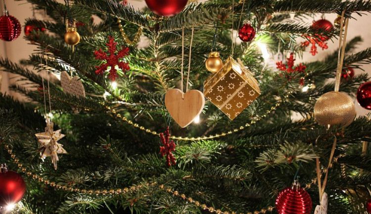 Organizacím pomáhajícím dětem nabízí lesníci vánoční stromky zdarma