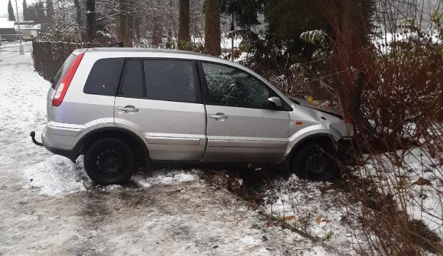 Řidič Fordu vyjel na chodník a narazil do plotu zámeckého parku. Skončil v péči lékařů