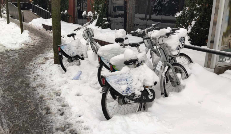 ANKETA: Žádné zimování, sdílená kola v Jihlavě jezdí i ve sněhu. Město teď řeší, jestli pořídit i koloběžky