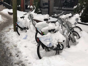 ANKETA: Žádné zimování, sdílená kola v Jihlavě jezdí i ve sněhu. Město teď řeší, jestli pořídit i koloběžky