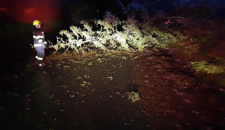 406874161_729968399095785_1058935723328836240_n