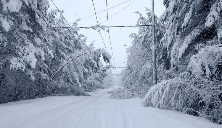Sněžení zastavilo MHD v Jihlavě. Nejezdí trolejbusy ani autobusy, trasy do příměstských částí jsou nesjízdné