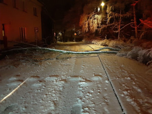 Hasiče a policisty zaměstnávají popadané stromy a nehody. Od půlnoci se stalo skoro 50 nehod