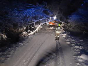 Hasiče a policisty zaměstnávají popadané stromy a nehody. Od půlnoci se stalo skoro 50 nehod