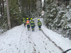 Sněhová kalamita na Vysočině. Doprava kolabuje, silnice jsou nesjízdné, v Humpolci spadl na muže strom