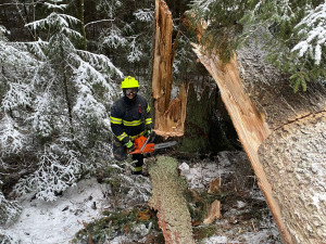 Sněhová kalamita na Vysočině. Doprava kolabuje, silnice jsou nesjízdné, v Humpolci spadl na muže strom