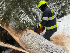 Sněhová kalamita na Vysočině. Doprava kolabuje, silnice jsou nesjízdné, v Humpolci spadl na muže strom