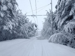 Sněžení zastavilo MHD v Jihlavě. Nejezdí trolejbusy ani autobusy, trasy do příměstských částí jsou nesjízdné
