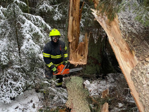 Vítr a těžký mokrý sníh polámal v Jihlavě desítky stromů a větví. Z parků a chodníků začnou mizet od úterý