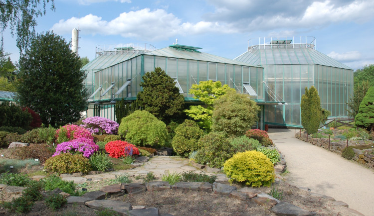 Botanická nabízí programy pro školy a školky. Připravuje i nabídku pro rodiny