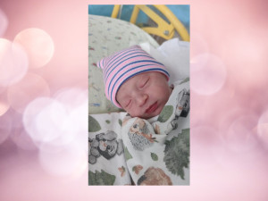 Prvním miminkem narozeným v Jihlavě se stal Luka, o dvacet minut později ho následovala Viktorie