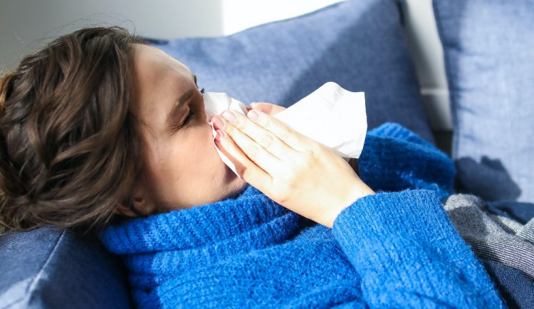 Lidí s chřipkou na Vysočině výrazně ubylo. Je to hlavně díky vánočním prázdninám