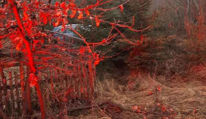 Žena se posilnila alkoholem, sedla za volant a bourala. Vjela do smrčků a s autem se přetočila