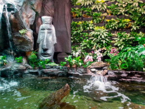 Wellness Hotel Frymburk láká na bazény, sauny, Svět pod hladinou i pobytové balíčky