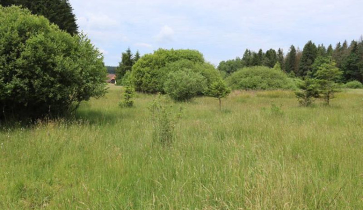 Přírodní památka U Šeredů