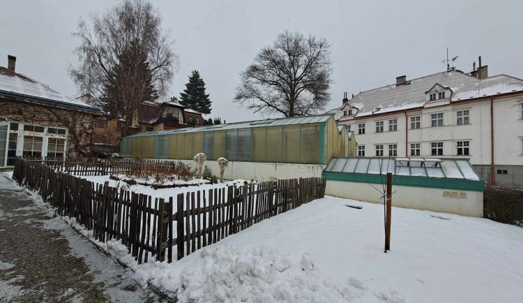 V Botanické zahradě v Liberci chystají rekonstrukci skleníku. Vystěhují z něj stovky rostlin