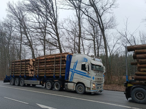 Policie na Vysočině kontrolovala řidiče kamionů. Za převoz dřeva opět padaly tisícové pokuty