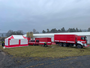 Veterináři začnou s utrácením slepic v chovu, kde se potvrdila nákaza ptačí chřipkou