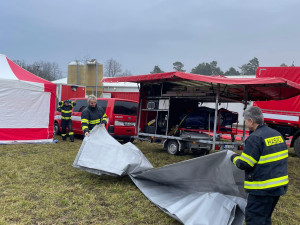 Veterináři začnou s utrácením slepic v chovu, kde se potvrdila nákaza ptačí chřipkou