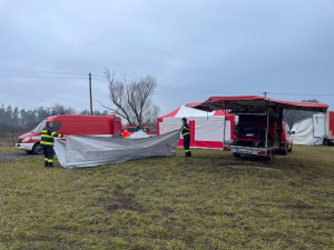 Veterináři začnou s utrácením slepic v chovu, kde se potvrdila nákaza ptačí chřipkou