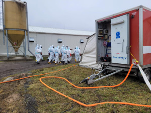 Veterináři začali s utrácením slepic v chovu, kde se potvrdila nákaza ptačí chřipkou