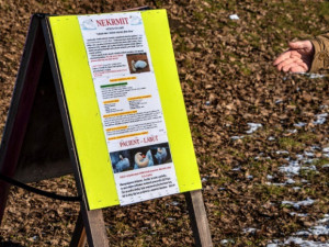 KOMENTÁŘ: Krmení zvířat - fenomén, který se vymkl jakékoliv soudnosti