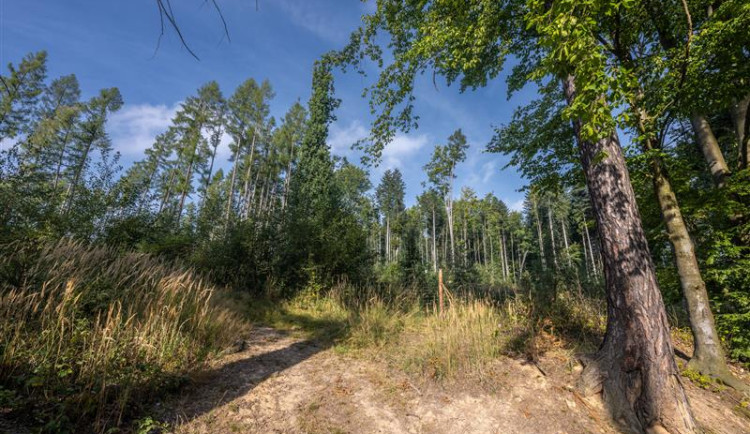 Město Jihlava začne letos stavět vodojem Bukovno, dostalo stavební povolení