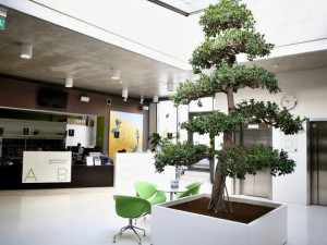 Protonové centrum pacientům pomáhá i s nádory krčních mandlí