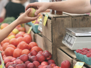 ANKETA: Jihlavské náměstí opět oživí trhy. V nabídce budou čerstvé květiny, ovoce, zelenina nebo sazenice