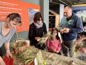 V dukovanské elektrárně už oslavili Velikonoce. Trhy pomohly dobré věci, lidé pletli pomlázky a barvili vajíčka