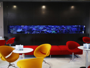 Rakovinu prostaty umí v Praze léčit na světové úrovni