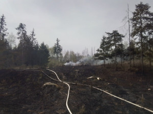 FOTO: Hasiče na Vysočině dnes zaměstnaly požáry trávy a mladých stromků. Podívejte se, jak zasahovali