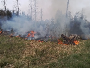 FOTO: Hasiče na Vysočině dnes zaměstnaly požáry trávy a mladých stromků. Podívejte se, jak zasahovali