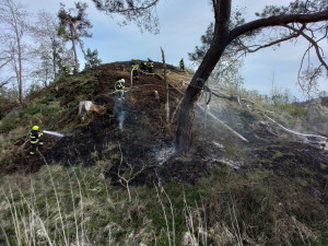 FOTO: Hasiče na Vysočině dnes zaměstnaly požáry trávy a mladých stromků. Podívejte se, jak zasahovali