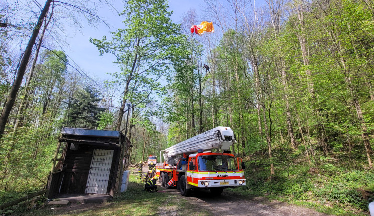Hasiči sundávali paraglidistu ze stromu. Událost zaměstnala dvě jednotky hasičů