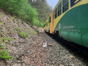 FOTO: Strojvedoucí nezvládl zabrzdit. Vlak s patnácti cestujícími na Žďársku narazil do stromu