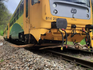 FOTO: Strojvedoucí nezvládl zabrzdit. Vlak s patnácti cestujícími na Žďársku narazil do stromu